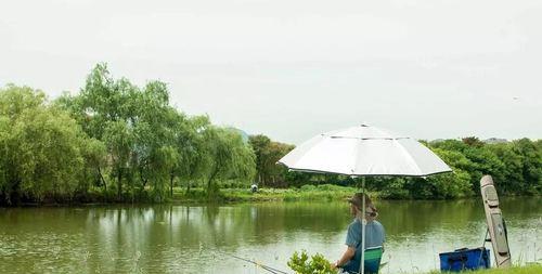 冬天在自然水域钓鱼有哪些技巧？如何提高冬季钓鱼的成功率？