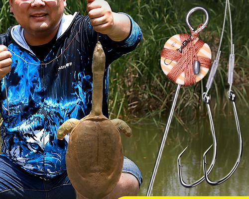 自制甲鱼钩钓甲鱼技巧有哪些？如何提高钓甲鱼的成功率？