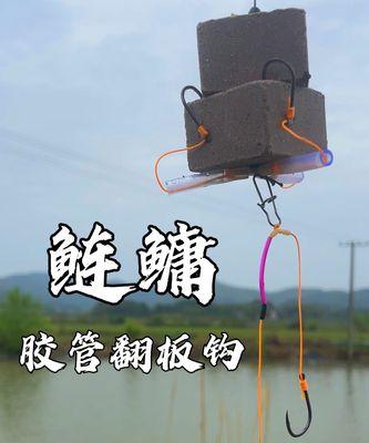 自制鲢鳙饵料海竿钓鱼技巧有哪些？如何提高钓鱼成功率？