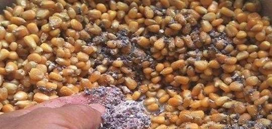 自制窝料钓鱼技巧有哪些？如何制作效果最佳的窝料？