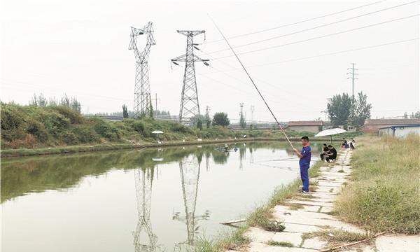 综合鱼池钓鱼方法和技巧有哪些？如何提高钓鱼效率？