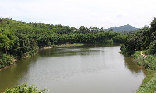 粽子坞水库钓鱼技巧有哪些？如何提高钓鱼成功率？