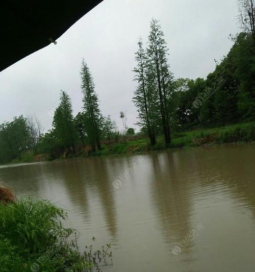 走水的地方钓鱼技巧和方法是什么？如何提高钓鱼成功率？