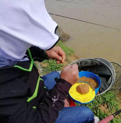 走水钓鱼方法与技巧教程？如何提高走水钓鱼的成功率？