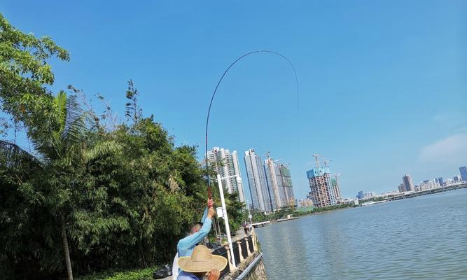 走水筏竿钓鱼技巧和方法有哪些？如何提高钓鱼成功率？