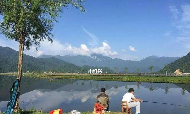 冬季走水河道钓鱼有哪些技巧？如何提高冬季钓鱼成功率？