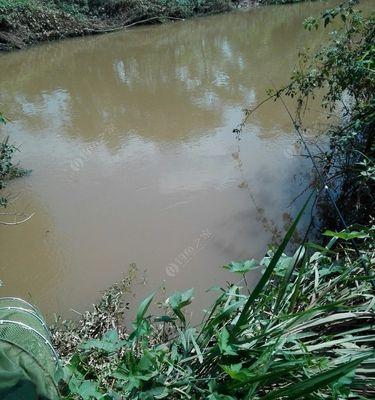 走水江边钓鱼技巧有哪些？如何应对水流变化提高钓获率？