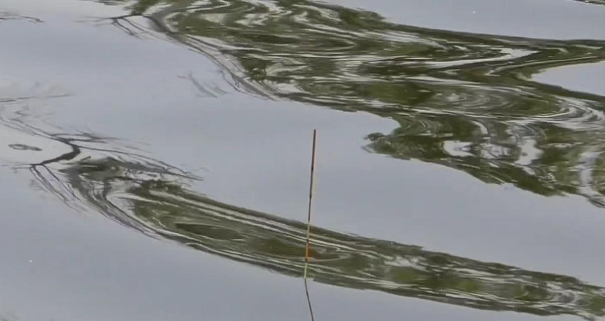 走水江河钓鱼技巧有哪些？如何应对水流变化提高钓鱼成功率？