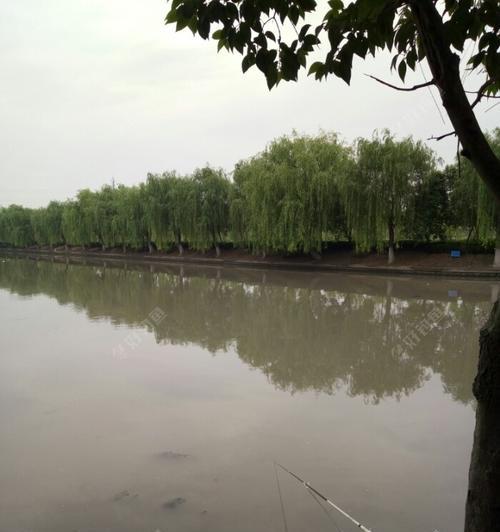 走水江河钓鱼技巧有哪些？如何应对水流变化提高钓鱼成功率？