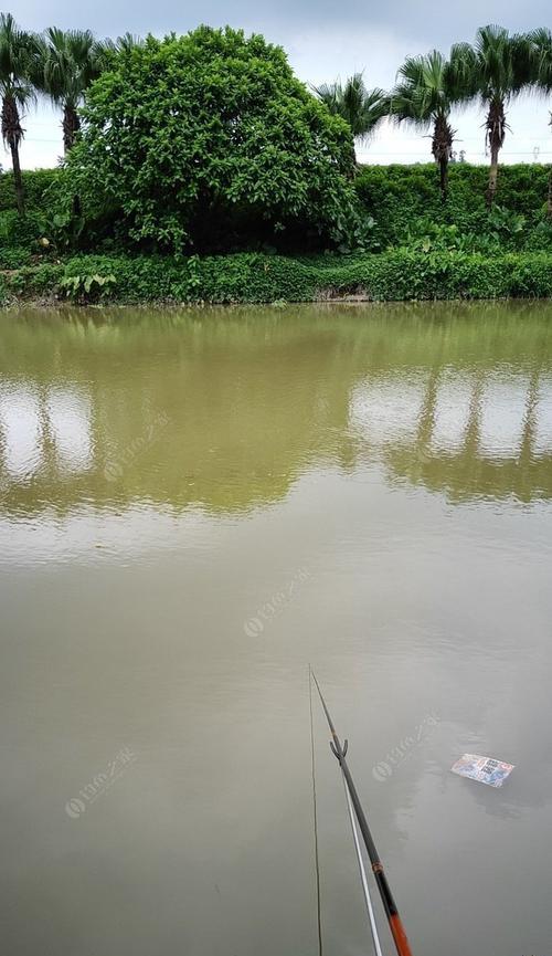 走水江河钓鱼技巧有哪些？如何应对水流变化提高钓鱼成功率？