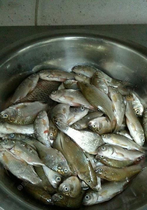 走水台钓翘嘴的最佳技巧是什么？如何提高钓获率？