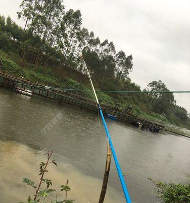 走水野钓海竿技巧有哪些？如何应对走水环境？