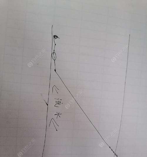 走水野钓鲤鱼时如何调整浮漂？掌握哪些技巧能提高成功率？