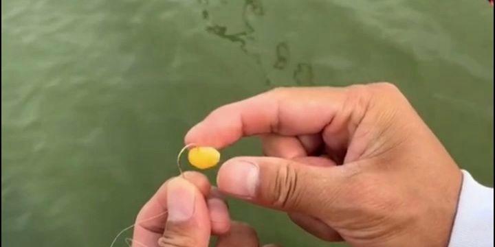 钻桥洞钓鱼技巧有哪些？如何提高钻桥洞钓鱼的成功率？