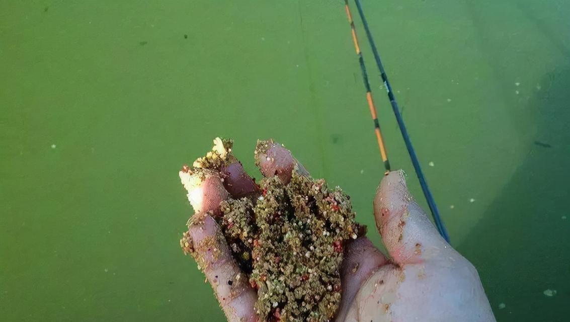 最忌讳的钓鱼方法和技巧是什么？如何避免这些错误？