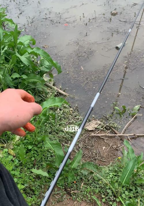 如何掌握最佳捕鱼钓鱼技巧？常见问题有哪些解答？