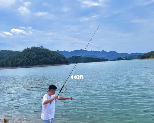 最全面的钓鱼技巧？如何快速掌握各种钓鱼方法？