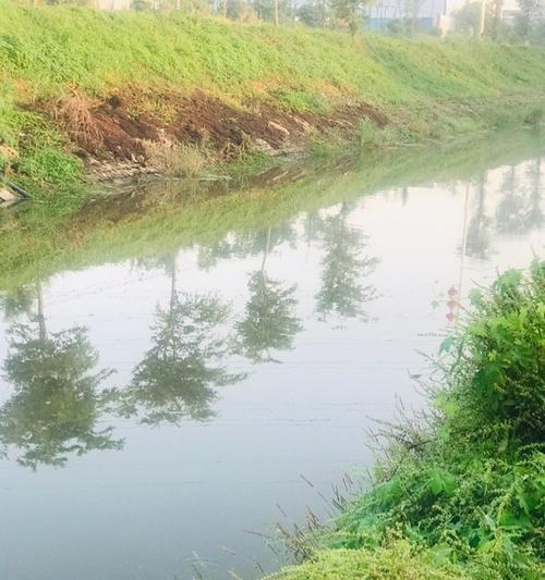 最新咸水河钓鱼技巧有哪些？如何提高钓鱼成功率？