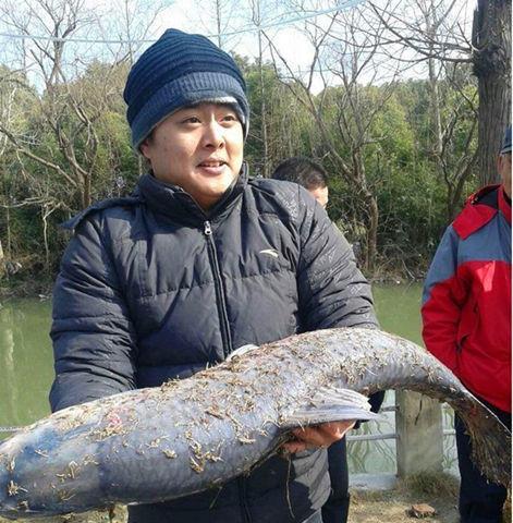 如何钓到100斤的大鱼？掌握这些钓鱼技巧是关键！