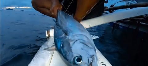 100米深海钓鱼技巧是什么？如何应对深海钓鱼的常见问题？