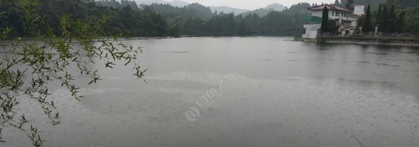 10度以下水库钓鱼技巧是什么？如何提高钓鱼成功率？