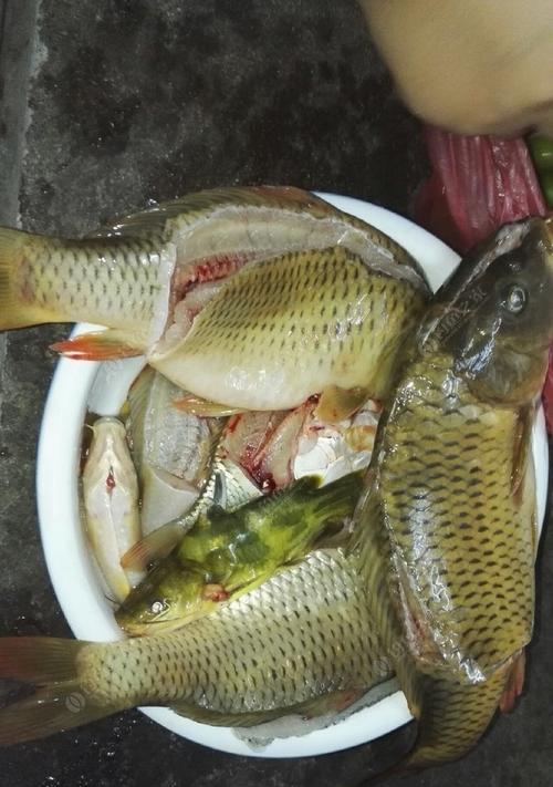 夜钓时如何提高鱼获量？掌握这10个技巧了吗？