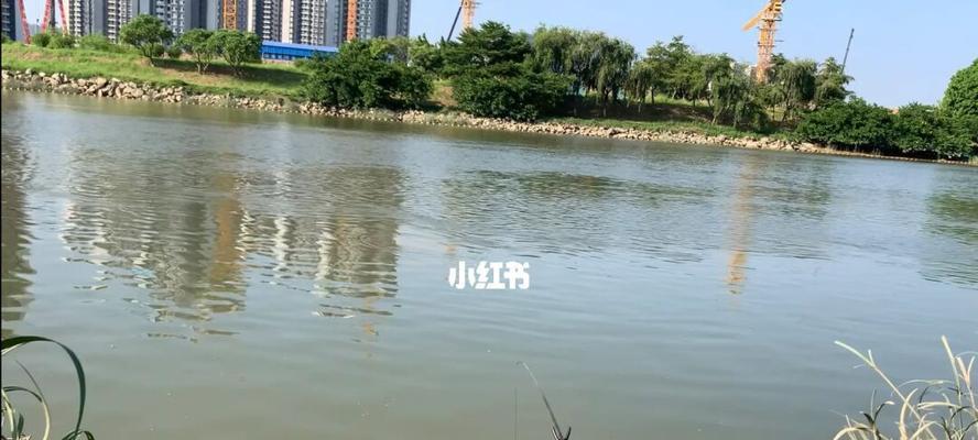 如何掌握10公分钓鱼技巧？常见问题有哪些？