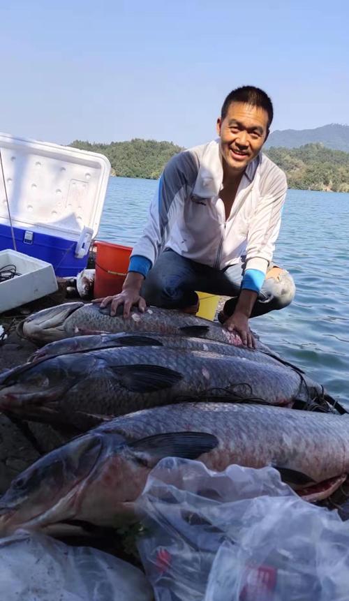 如何用10斤青鱼作为诱饵进行垂钓？垂钓时应注意哪些技巧？