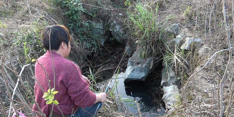10米深坑钓鱼技巧有哪些？如何提高深坑钓鱼的成功率？