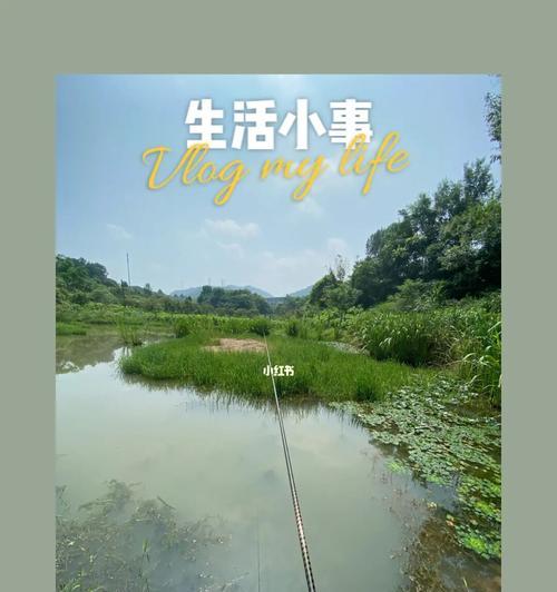10秒钓鱼技巧是什么？如何快速掌握并提高钓鱼效率？
