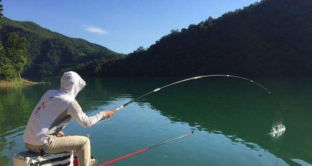 5月份钓鱼技巧有哪些？如何提高钓鱼成功率？