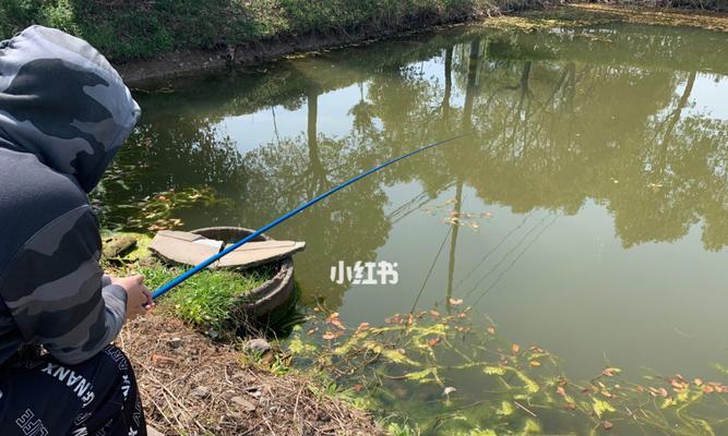 5月河里钓鱼技巧有哪些？如何提高钓鱼成功率？