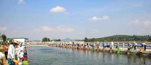 5月江河钓鱼技巧是什么？如何提高钓鱼成功率？