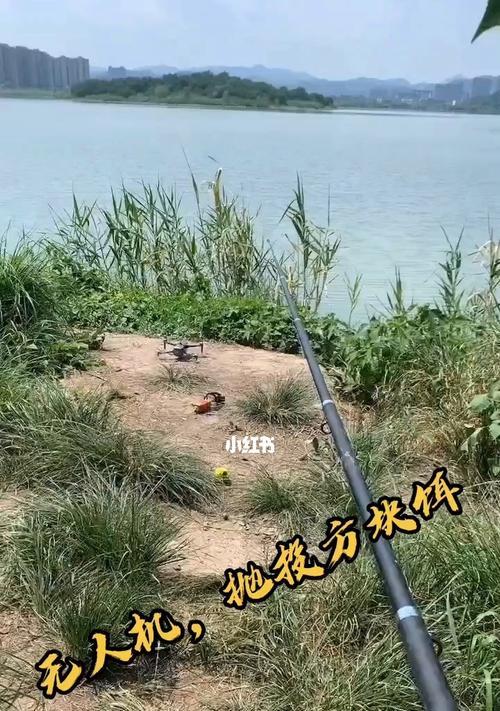 12米水深钓鱼技巧有哪些？如何应对深水钓鱼的常见问题？