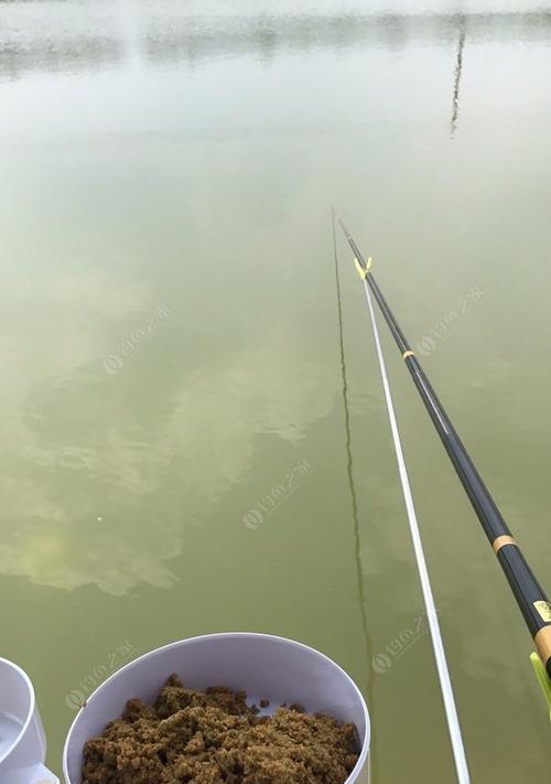 15克浮漂钓鲤鱼技巧是什么？如何有效使用提高钓获率？
