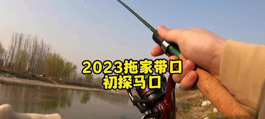 2023冬季钓鱼最新技巧是什么？如何提高钓鱼成功率？