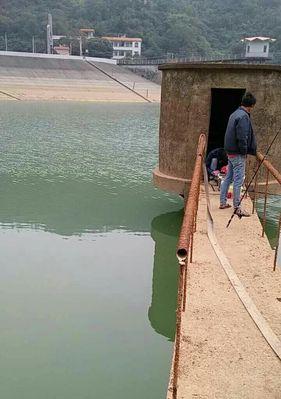 2米水深钓鱼技巧是什么？如何提高钓获率？