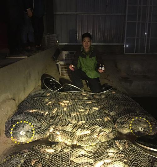 3000元左右黑坑钓鱼技巧有哪些？如何提高钓获率？