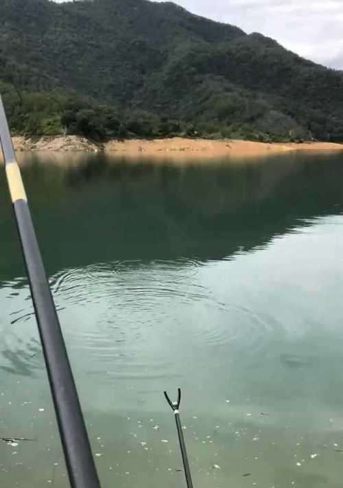 35度以上钓鱼技巧有哪些？如何应对高温天气的钓鱼挑战？