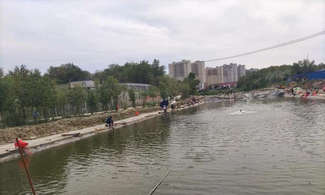四海钓鱼俱乐部的四个必备技巧是什么？如何提高钓鱼效率？