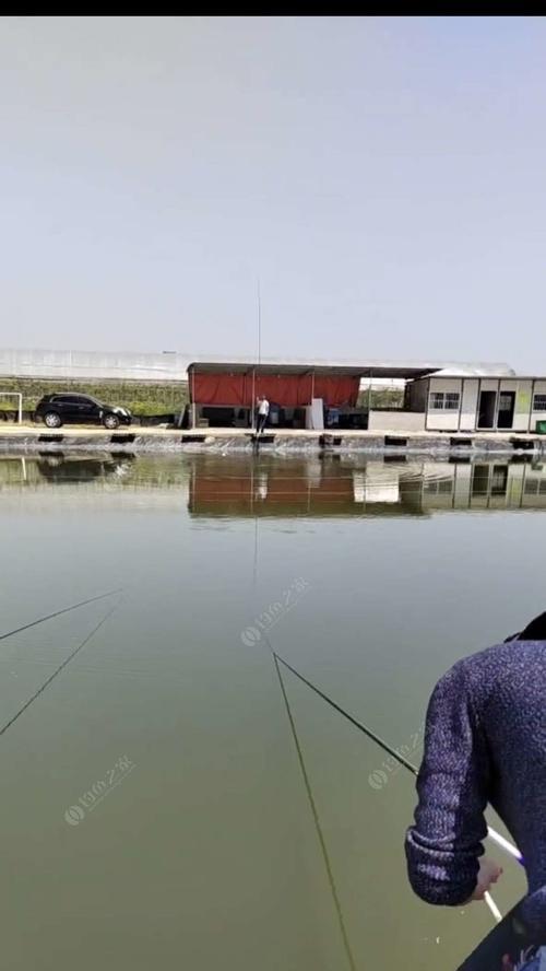 4米深水钓鱼方法和技巧是什么？如何提高深水钓鱼的成功率？