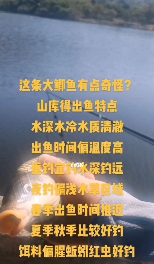 4月下旬钓鱼技巧有哪些？如何提高钓鱼成功率？