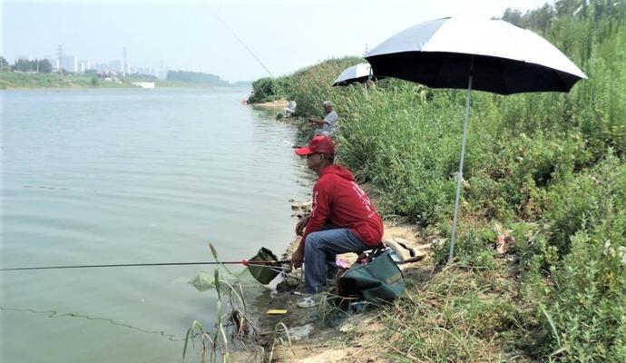 冬季在50cm浅水区钓鱼有哪些技巧？如何提高钓获率？