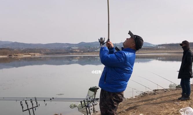 50公分水深钓鱼技巧是什么？如何提高钓鱼成功率？