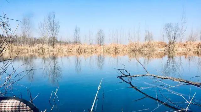 50公分以下浅水野钓鱼技巧是什么？如何提高钓鱼成功率？