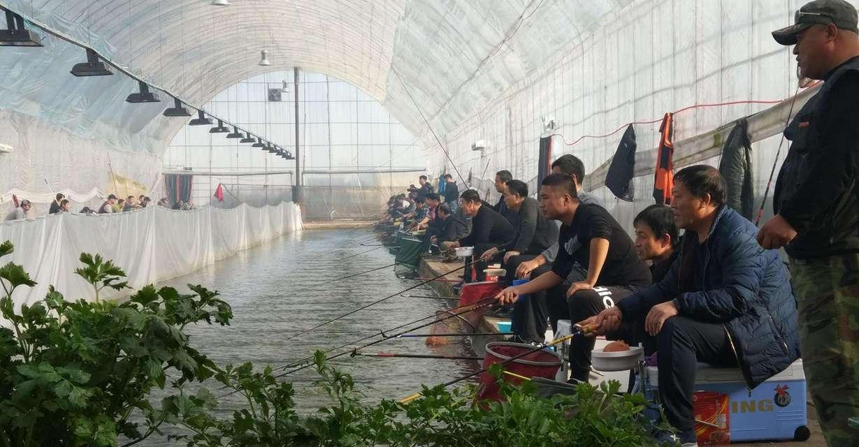 5米深坑钓鱼技巧是什么？如何提高深水钓鱼的成功率？