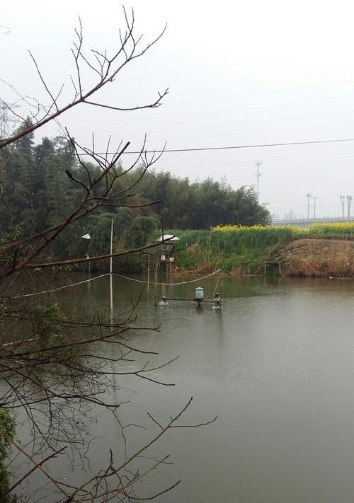 5月下雨钓鱼技巧有哪些？如何应对雨天钓鱼的挑战？