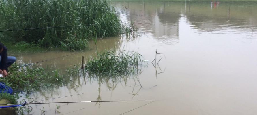 5月下雨天钓鱼技巧与方法是什么？如何提高钓鱼成功率？