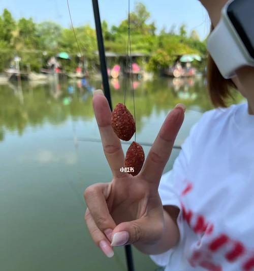 5月初夏钓鱼技巧有哪些？如何提高钓鱼成功率？