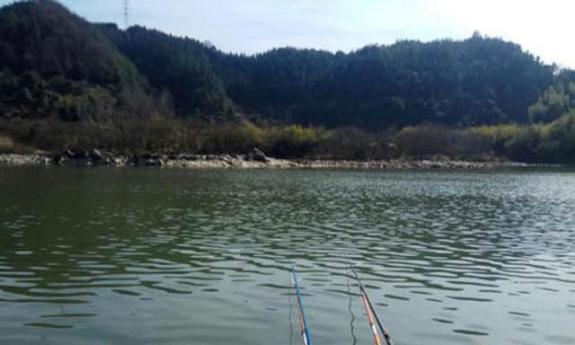 5月初夏钓鱼技巧有哪些？如何提高钓鱼成功率？